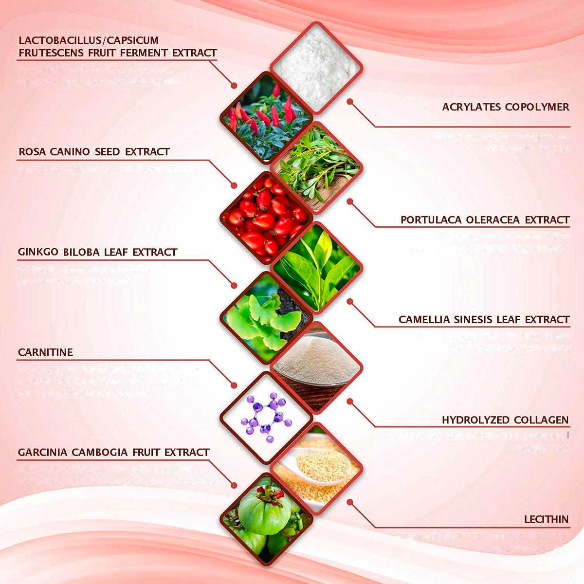 All Natural Moisturizing Body Applicator – Easy to Use Body Wrap -Anti Cellulite Solution- Firming
