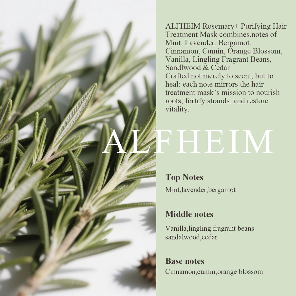 ALFHEIM Rosemary+ Purifying Hair Mask | Deep Moisturizing & Scalp Balancing Treatment | Infused