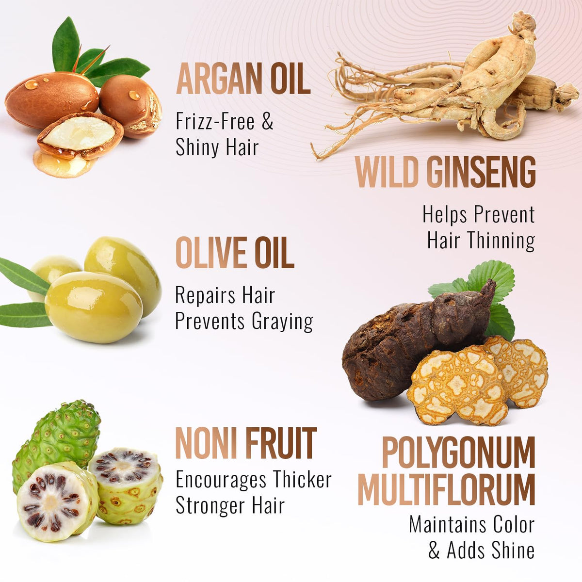 Herbishh Hair Color Shampoo for Gray Hair–Natural Hair Dye Shampoo with Argan Hair Mask–Travel