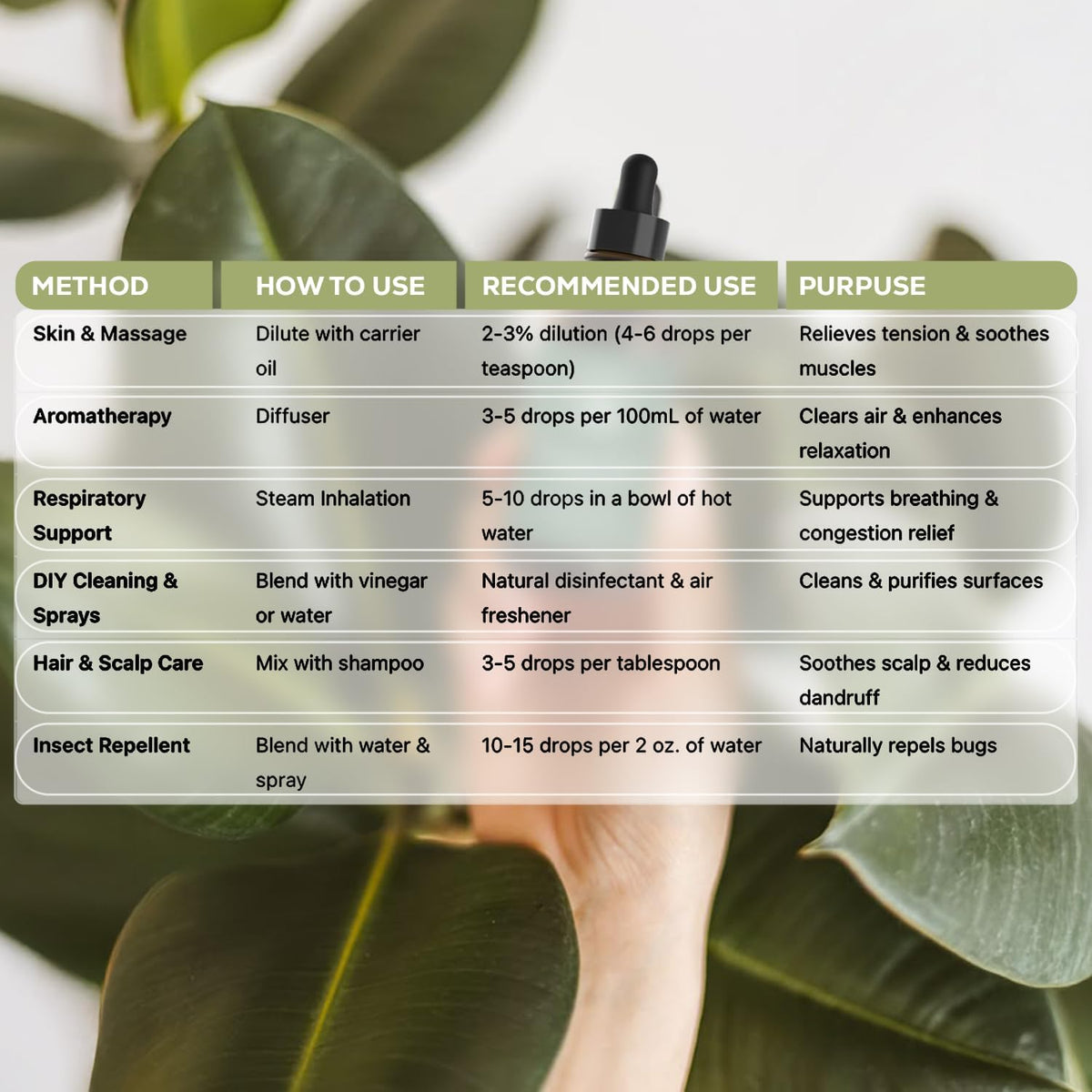Aroma Country 100% Pure Eucalyptus Essential Oil – Organic & Undiluted Diffuser Oil, Humidifier