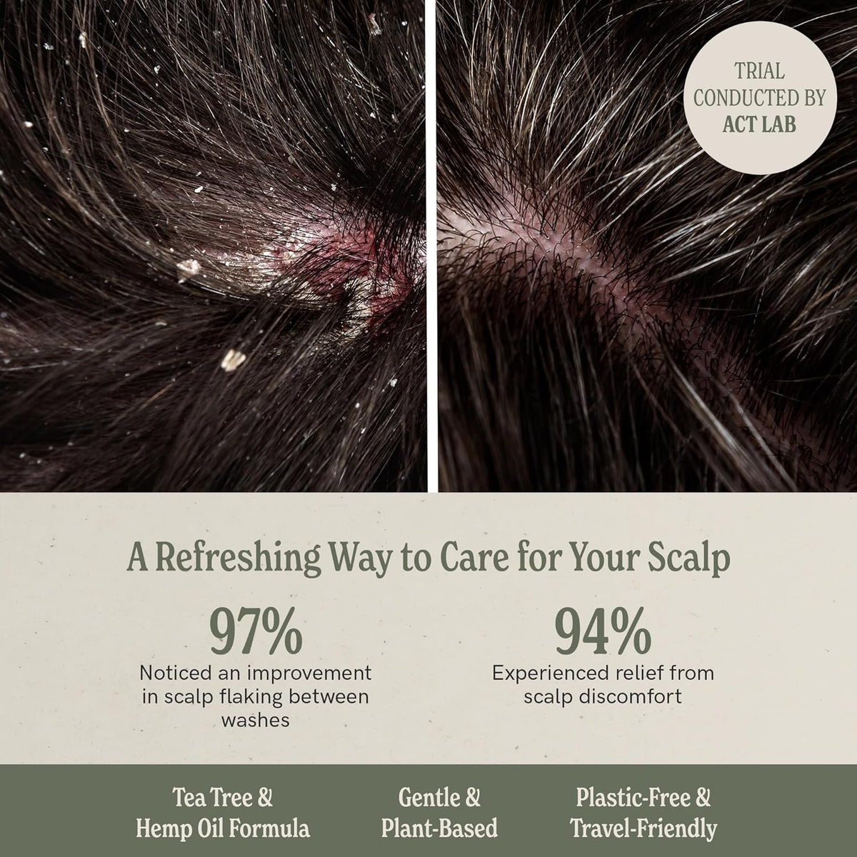 J·R·LIGGETT'S Shampoo Bar - Coconut & Argan Oil, All Natural Solid Shampoo for Hair with Olive Oil