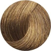 SMH Plant-Based Hair Fibers MADE IN JAPAN – Instantly Conceals Thinning Hair –Long-Lasting, Natural