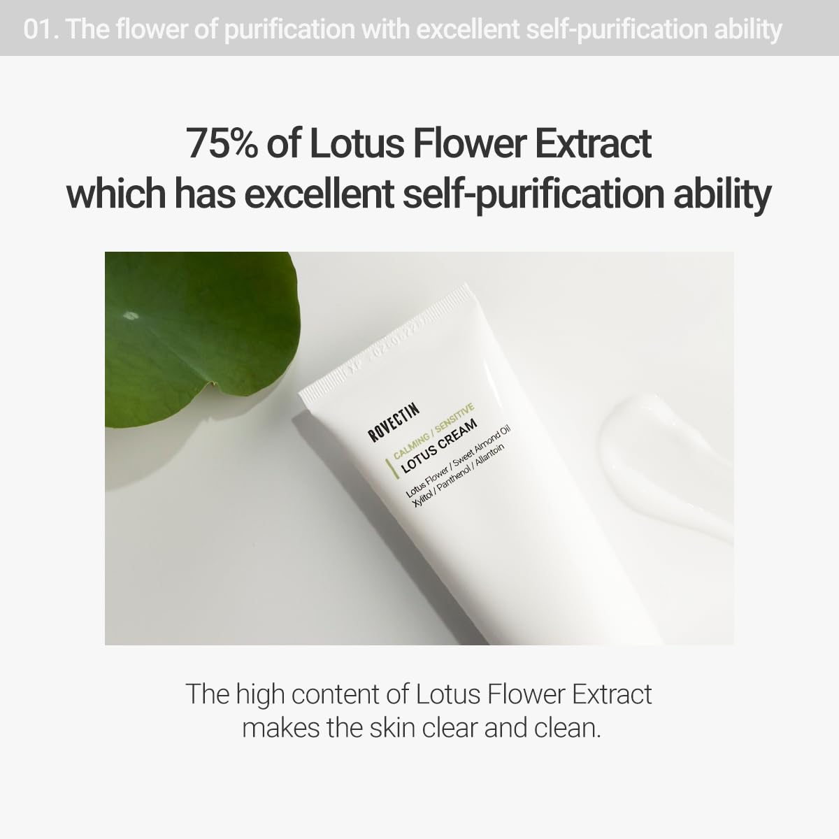 ROVECTIN Calming Lotus Water Cream - Lightweight Moisturizer Face Cream for Oily, Combination Skin