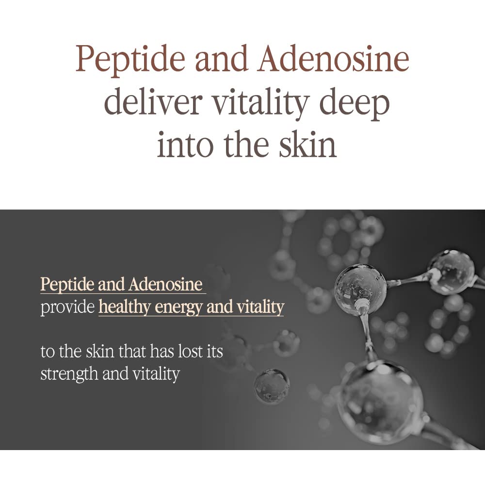 Pyunkang Yul PKY Black Tea Boosting Serum for Anti-aging, Condensed Nutrition for Fine Line Care
