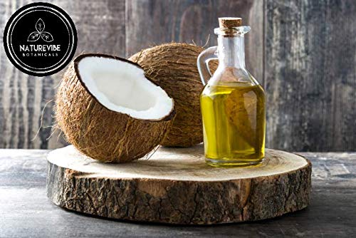 Naturevibe Botanicals Fractionated Coconut Oil 32 Ounces | 100% Pure and Natural | Great for Skin