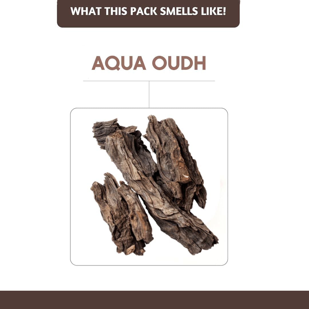 Folkulture Oud Incense Sticks | Set of 100 Insence-Sticks with Holder for Relaxation | Aqua Oudh