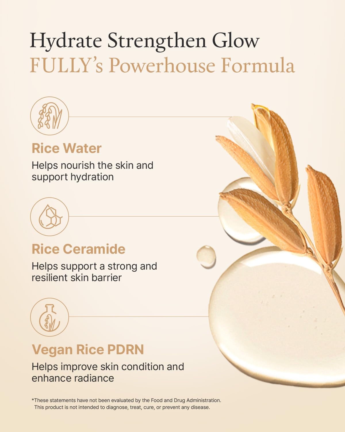 FULLY Rice Ceramide Moisturizing Cream – Deep Hydration Korean Facial Cream with Rice Bran Extract