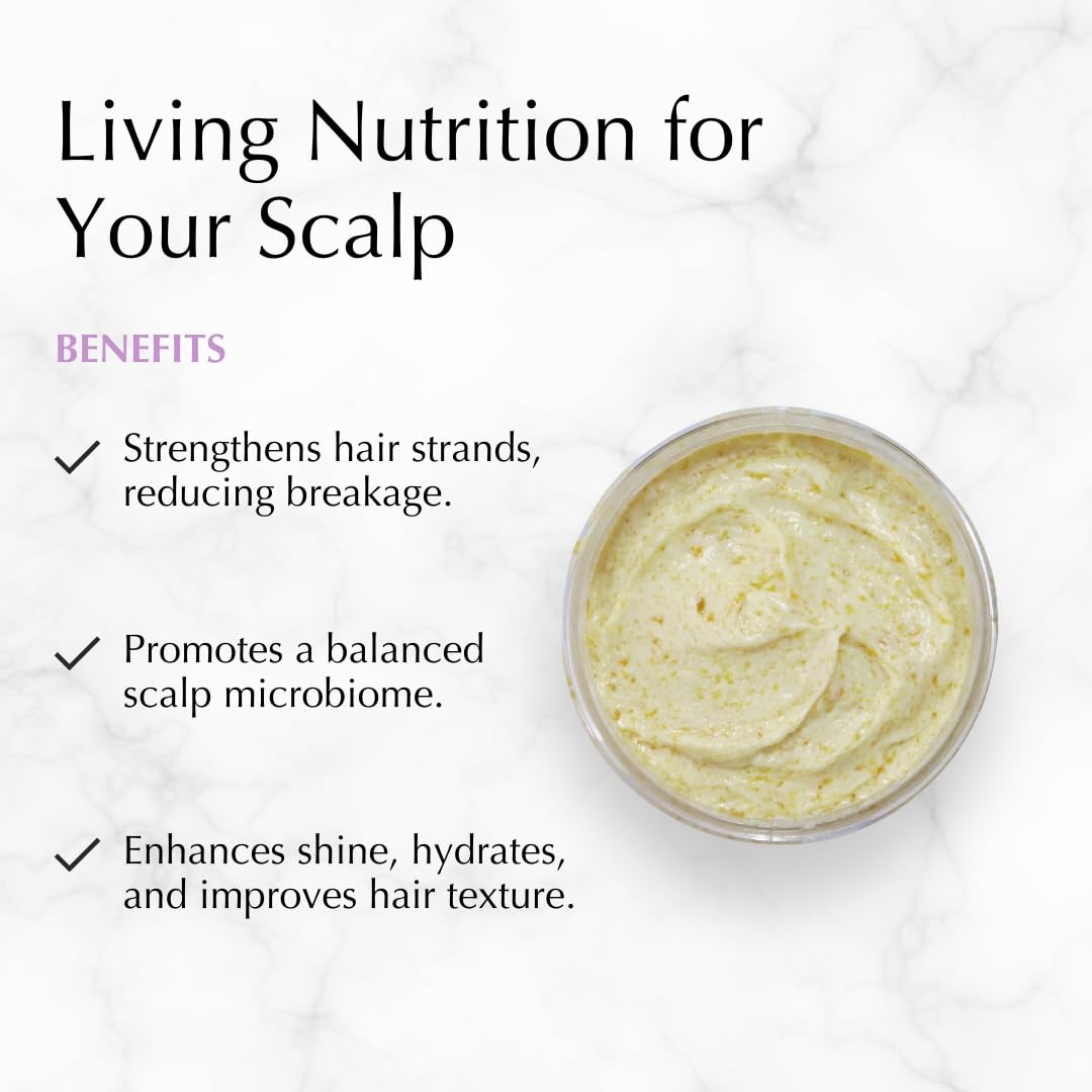 Citrus Cider Whip Hair Plaster | Vitamin C Infusion for Luminous Hair | Fruit Butters, Orange Peel