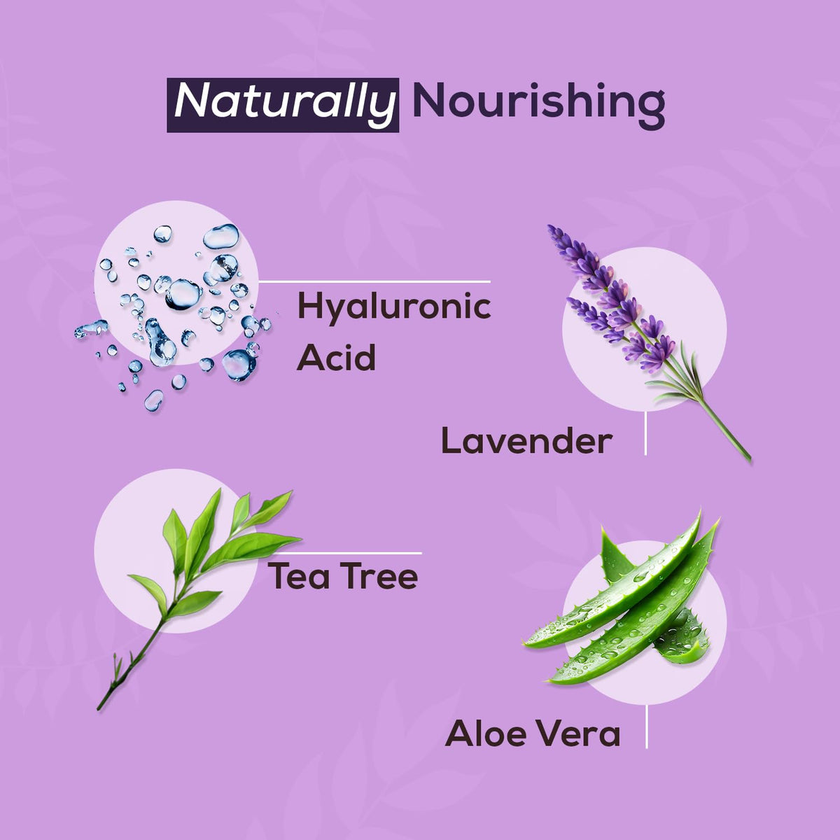 NOVEHA Lavender and Tea Tree Oil Eyelid Foaming Cleanser | Hydrating Hypoallergenic Daily Soap For