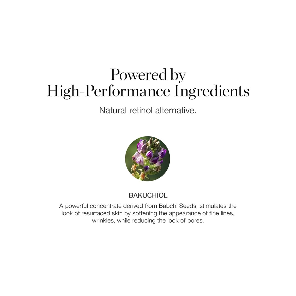 Ogee Natural Retinol Bakuchiol Serum 2% Elixir - Certified Organic Face Serum for Wrinkles and Fine
