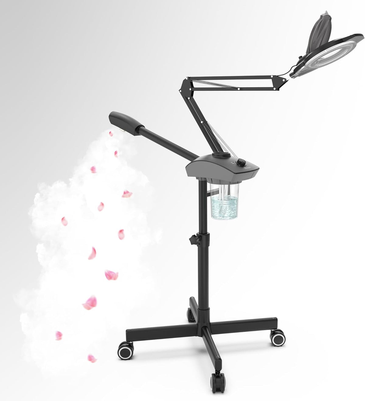 TASALON Professional 2-in-1 Facial Steamer, Ozone Face Steamer with 5X Magnifying Lamp Deep
