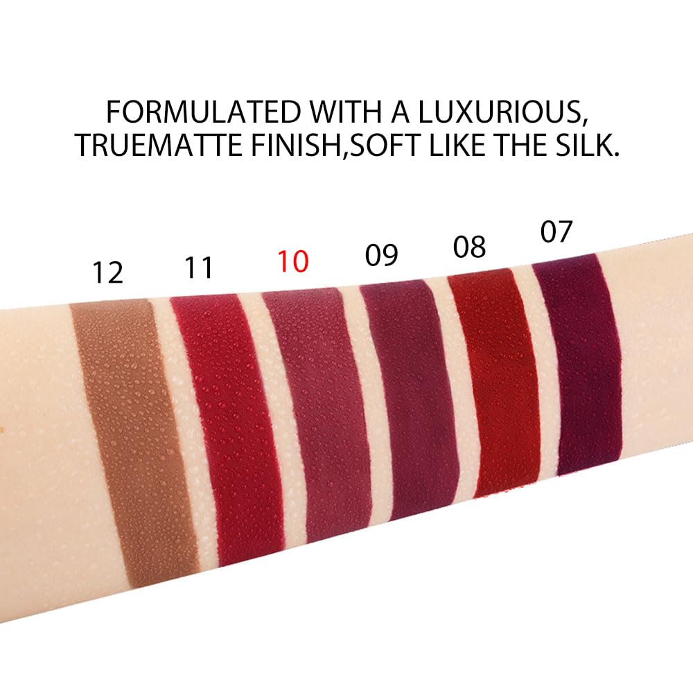 evpct 6Pcs Maroon Red Silky Velvet Matte Liquid Lipstick Lip Gloss Set for Women Long Lasting 24