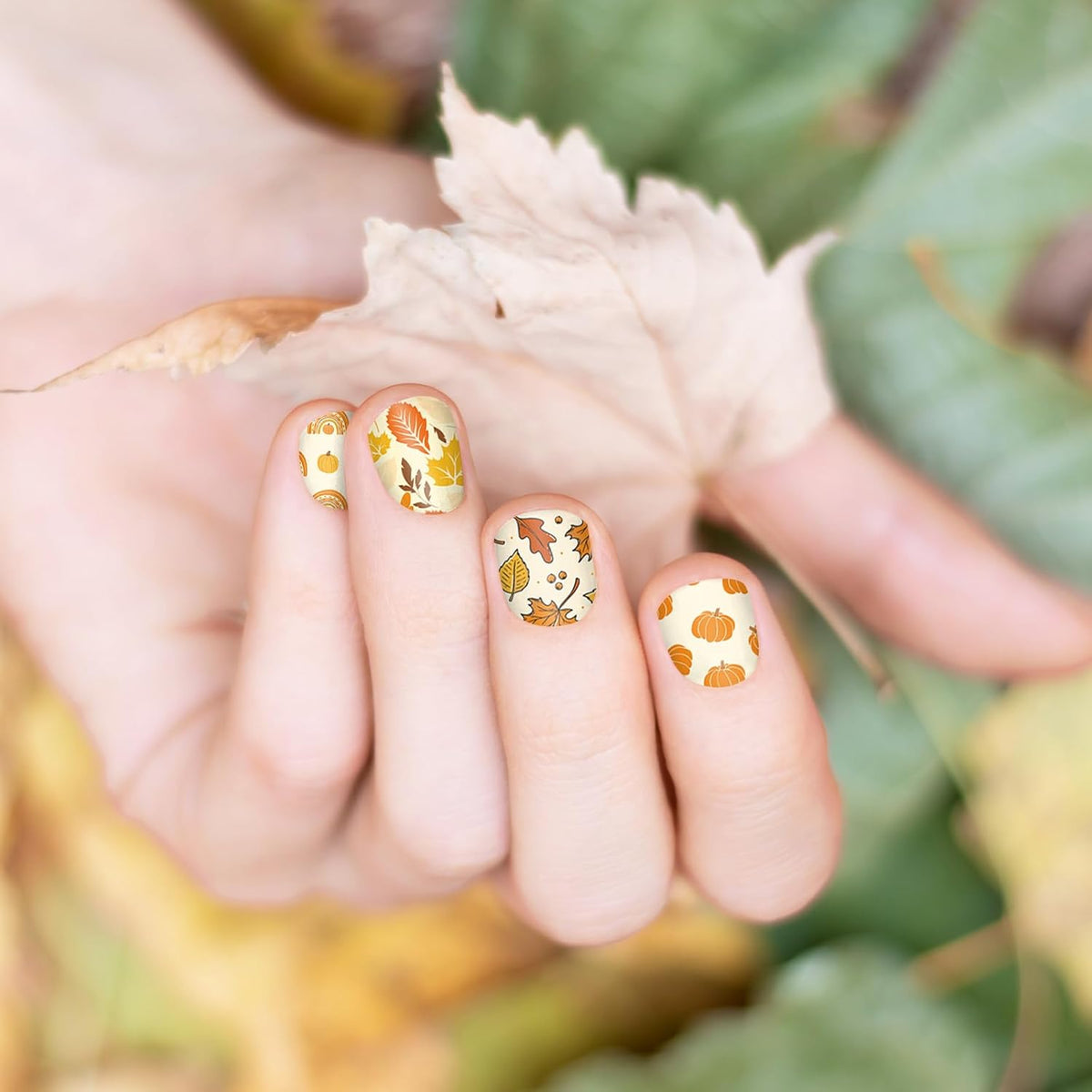 2 Sheet Fall Thanksgiving Nail Art Stamping Plate Kit Assorted Pumpkins Maple Leaves Autumn