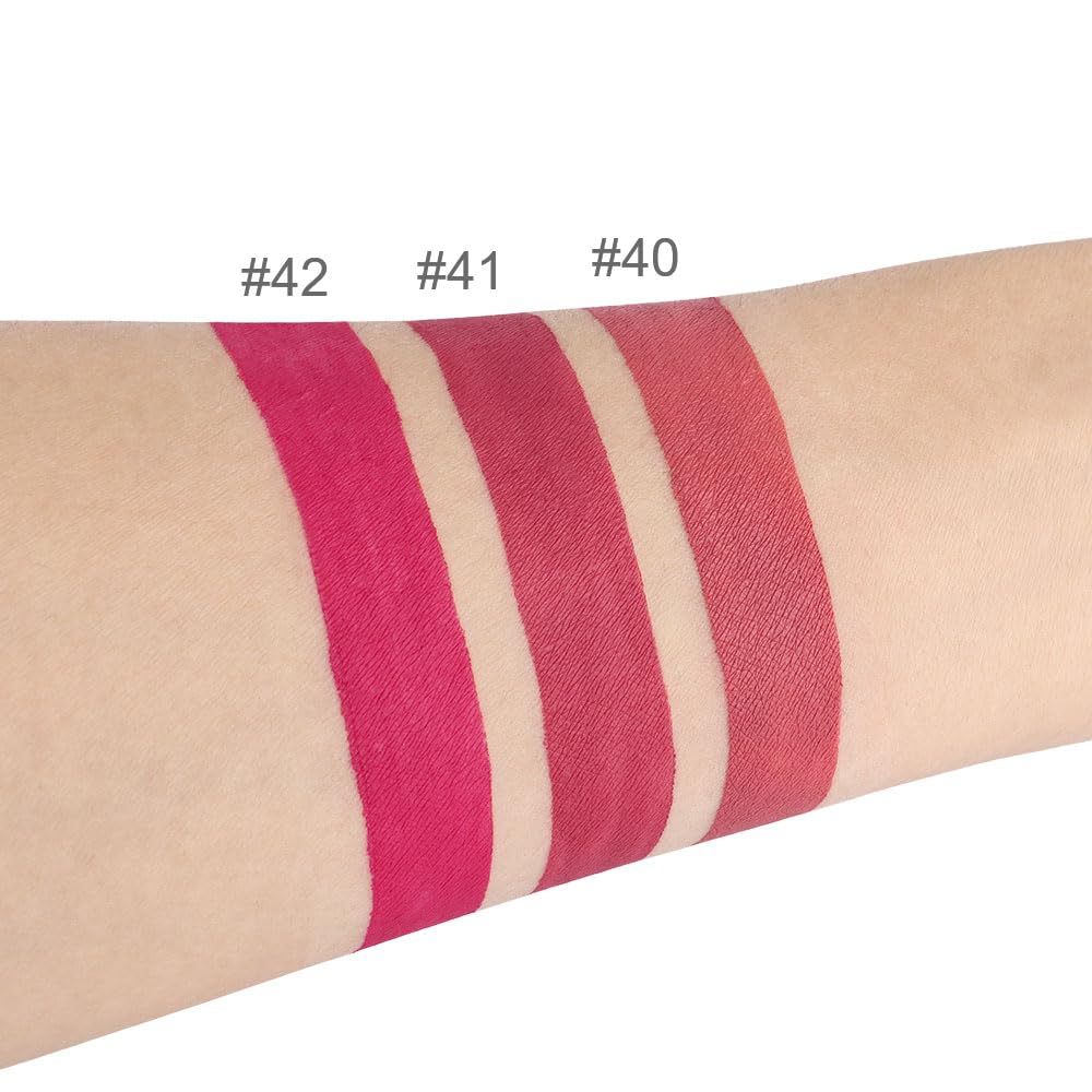 evpct 3Pcs Mauve red Berry pink Rose red Matte Liquid Lipstick Sets for Women 24-hour
