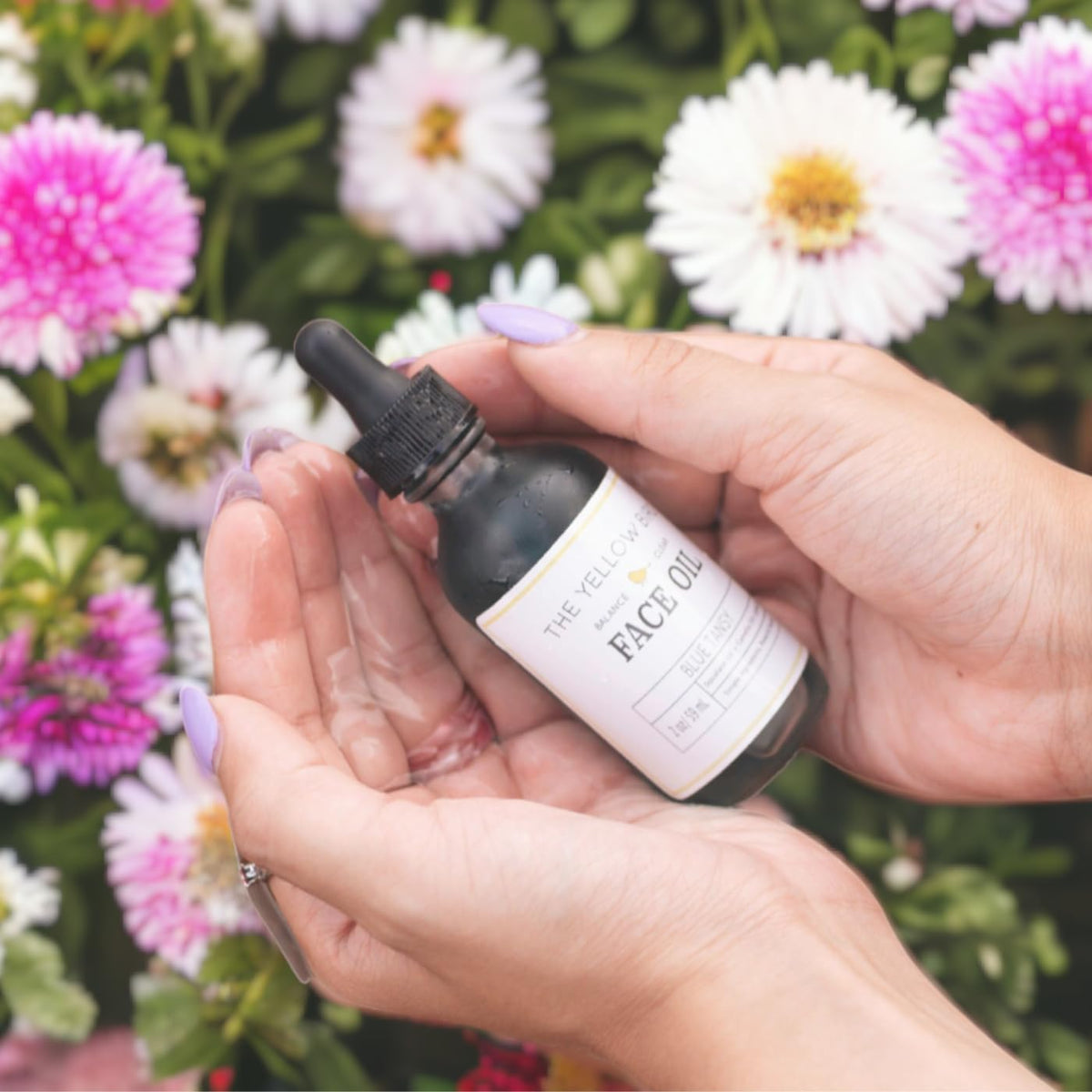 Yellow Bird Balancing Blue Tansy Face Oil 2 oz / 59 ml – Skin Glowing Serum. Collagen Support.