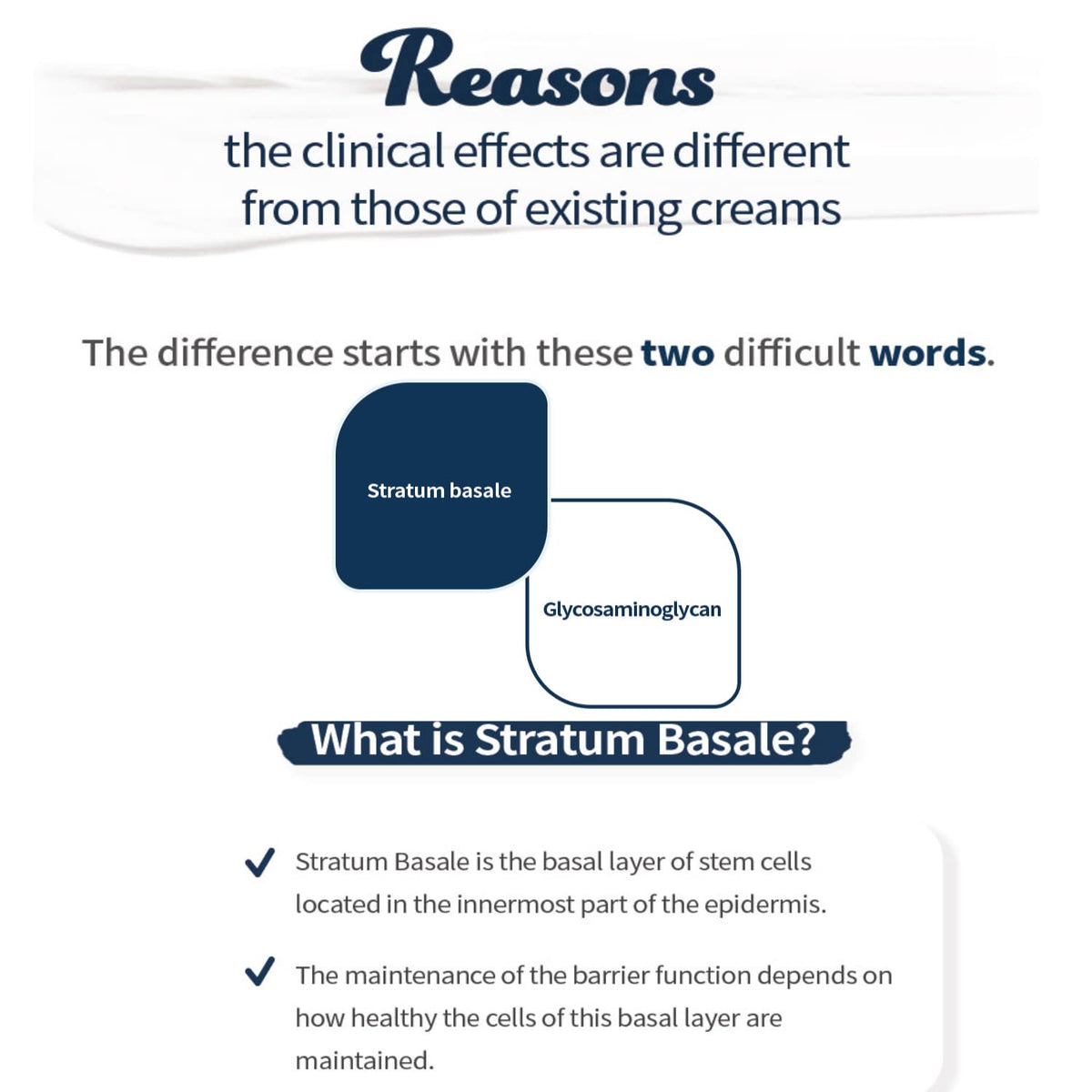 [DERM·ALL MATRIX] Stratum Basale Restoring Cream | Strengthening the skin barrier | a genuine
