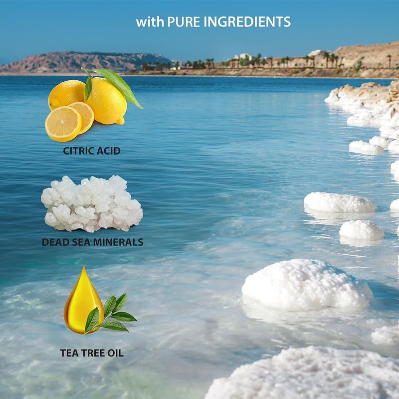 Dead Sea Collection Tea Tree Body Wash for Women and Men - with Pure Dead Sea Minerals and Tea Tree
