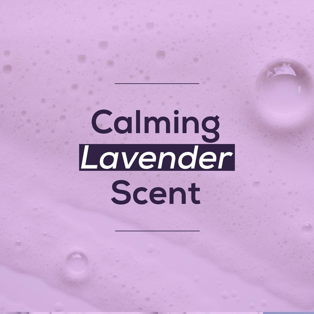 NOVEHA Lavender and Tea Tree Oil Eyelid Foaming Cleanser | Hydrating Hypoallergenic Daily Soap For