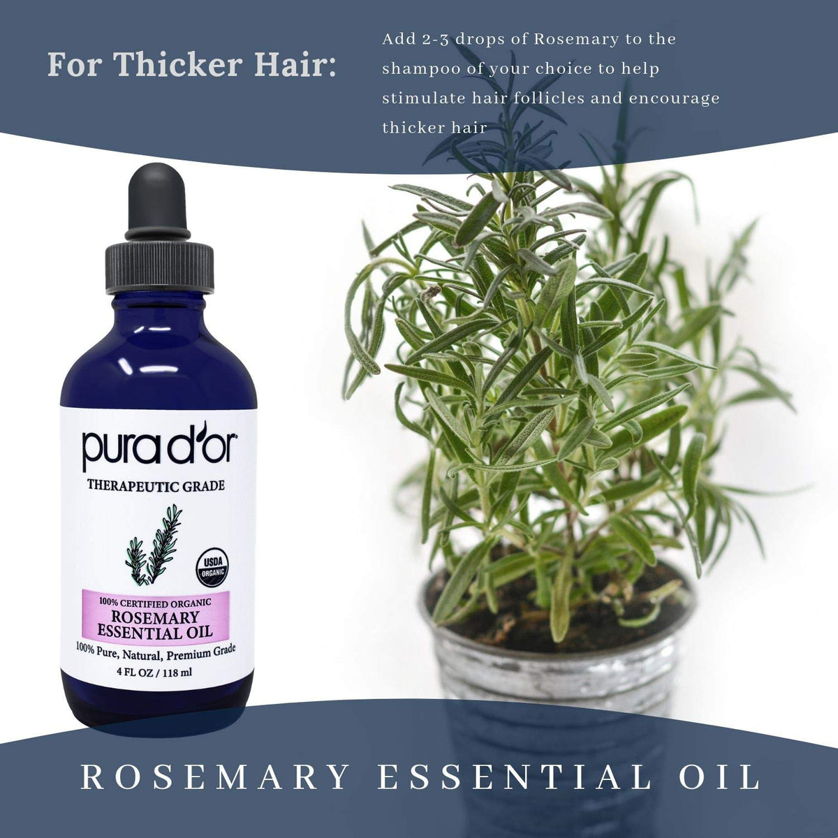 PURA D'OR Organic Rosemary Essential Oil, 4oz, Therapeutic Grade, for Hair, Body, Skin