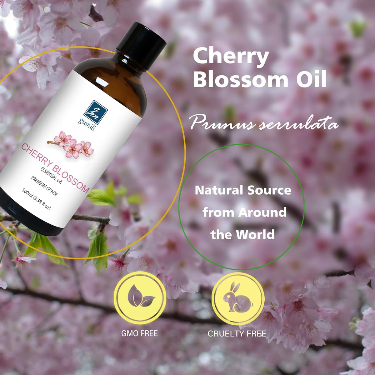 Cherry Blossom Essential Oil, Fragrance Oil for Candle Soap Making, Perfume for Women, Gift for Her