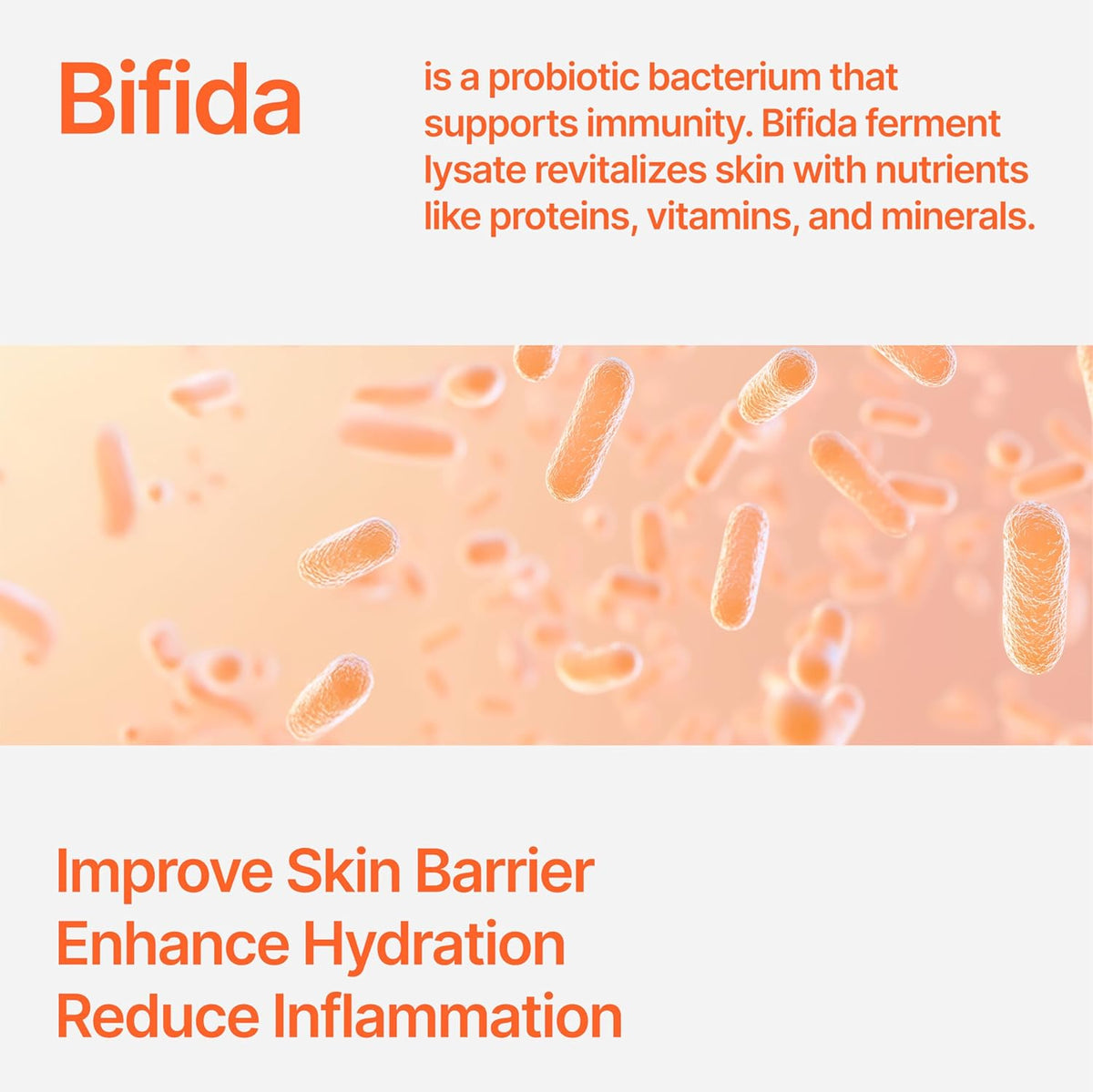 Bifida Barrier Ampoule, CUSKIN, Mild and Moisturizing Korean Skin Care Face Serum Ampoule with