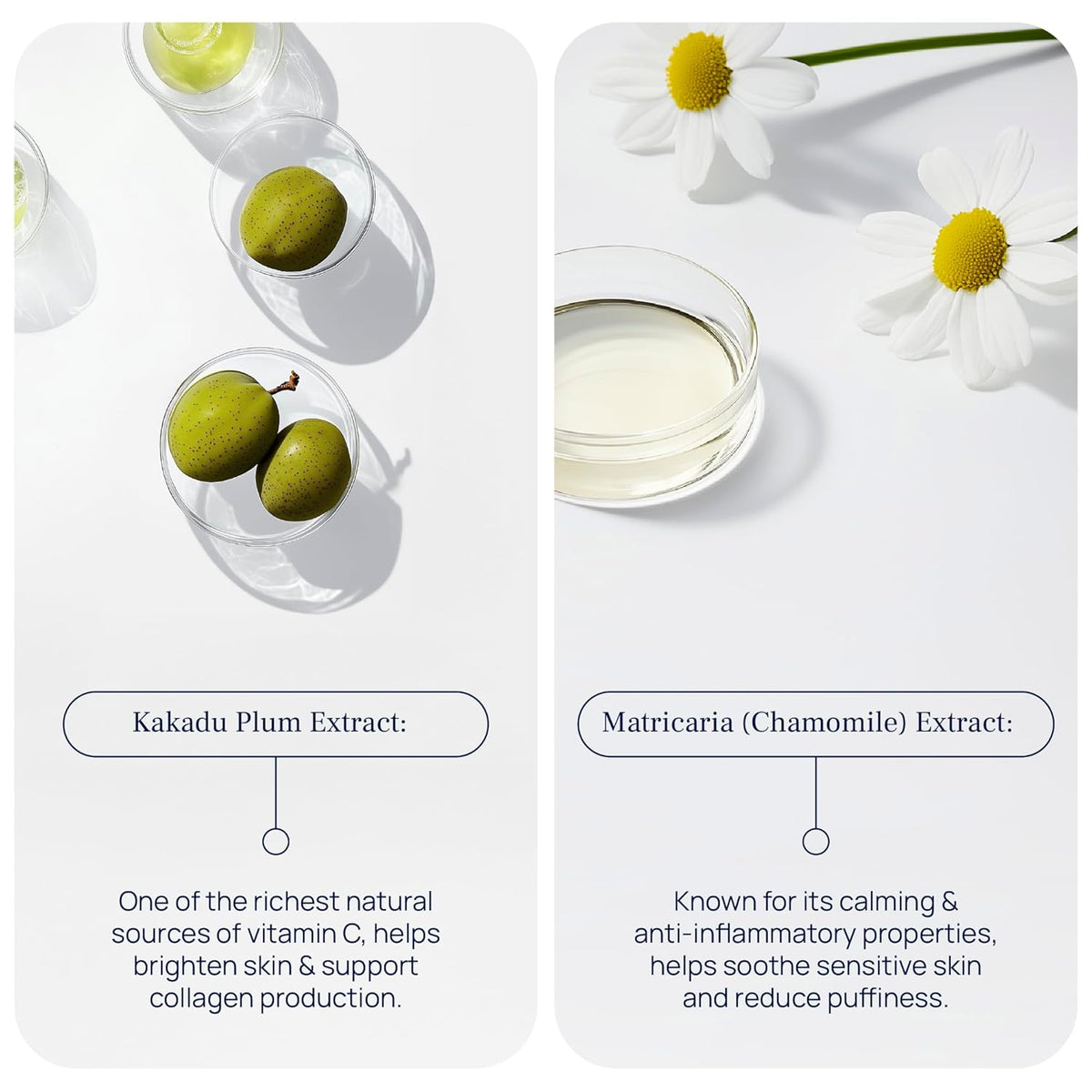Lift & Glow Organic Eye Cream for Dark Circles and Puffiness - Anti Aging Eye Cream for Wrinkles