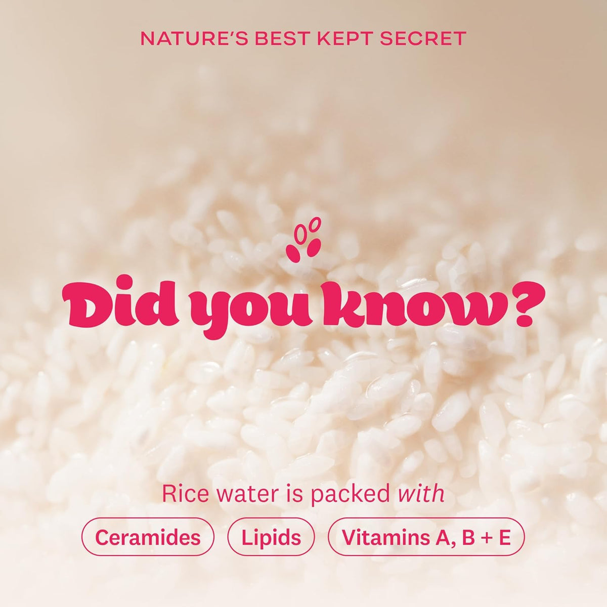 The Face Shop Rice Water Bright Foaming Facial Cleanser with Ceramide, Gentle Face Wash for