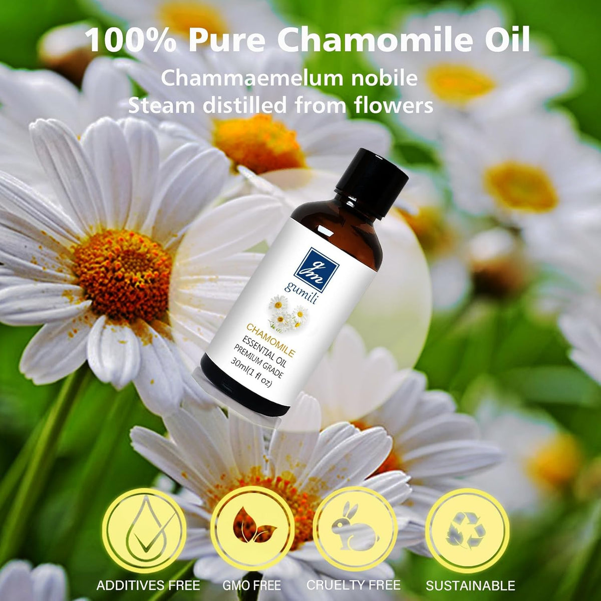 Chamomile Essential Oil 1 Oz - Pure Chamomile Oil for Skin, Relaxation & Aromatherapy, Diffuser