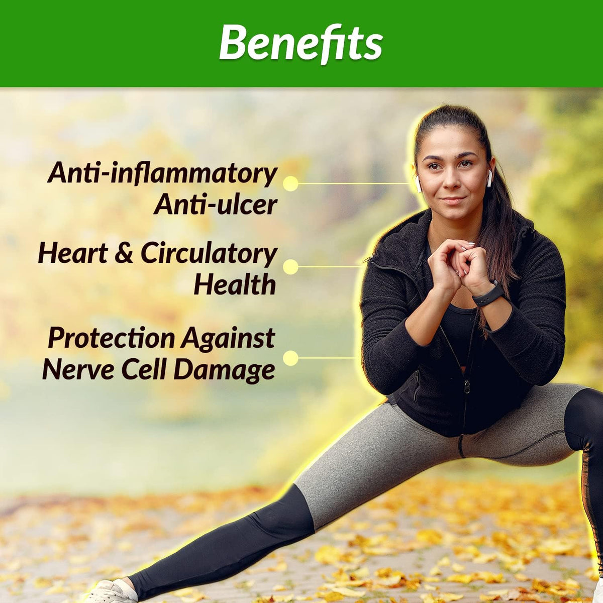 AFC Japan Brazilian Green Propolis Extract | Highest Artepilin C & Flavonoids for Antioxidant &
