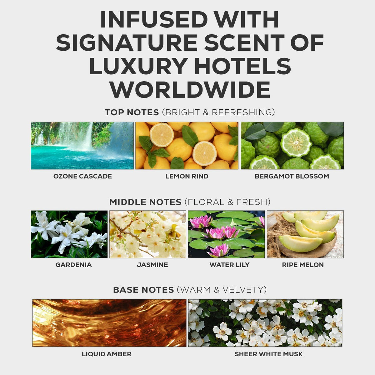 Aroma Country Luxury Hotel Diffuser Oil - Luxury Hotel Scent for Diffuser & Air Fresheners