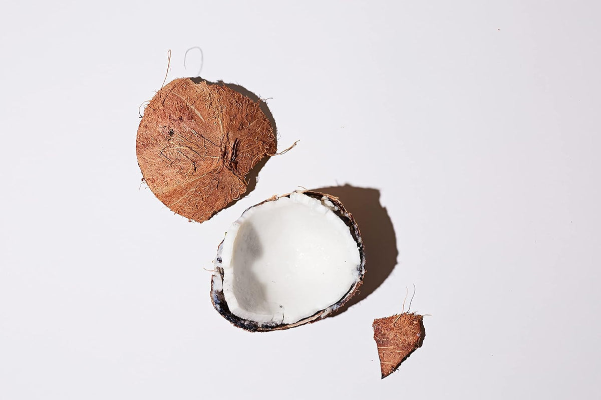 LATHER Coconut Foaming Body Scrub - Gentle Exfoliating & Hydrating Scrub for All Skin Types