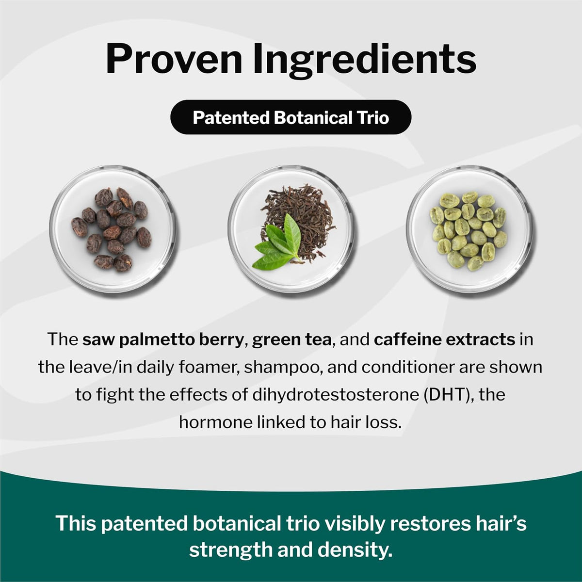Shapiro MD Hair Growth Experts Hair Loss Shampoo | DHT Fighting Vegan Formula for Thinning Hair