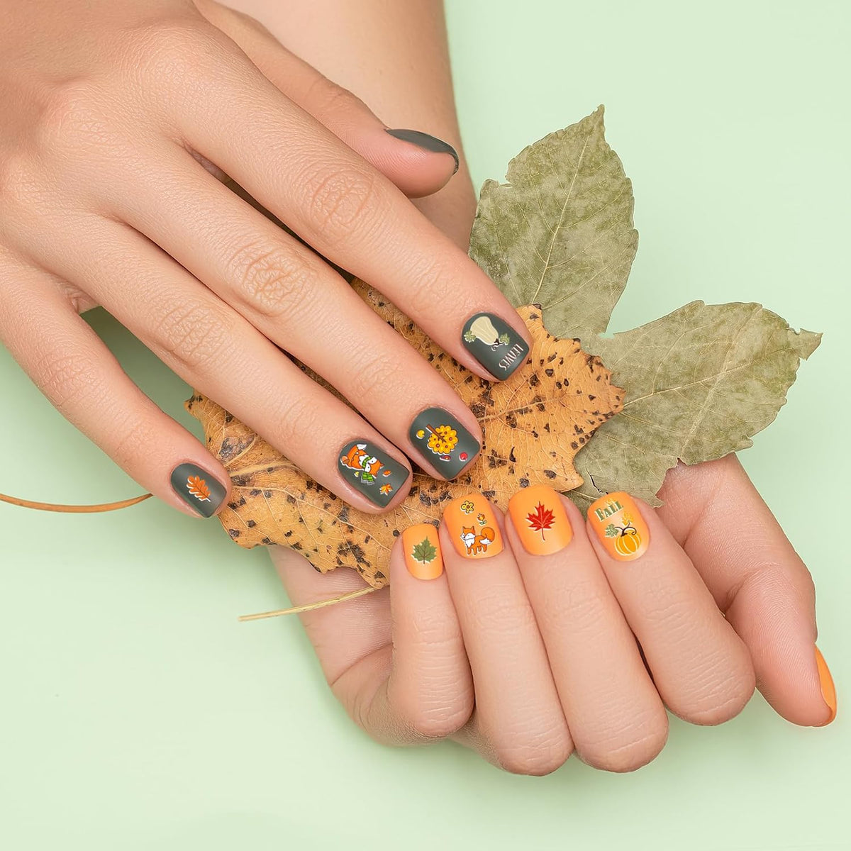 Whaline 10 Sheet Fall Nail Art Stamping Plates Kit Happy Thanksgiving Pumpkins Maple Leaf Gnome