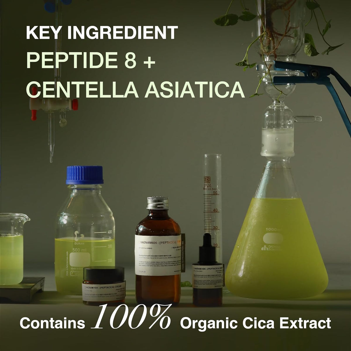 TOUN28 PEPTACICA Serum 1.01 fl.oz | 69.1% Centella Asiatica Extract – Moisturizing | Korean
