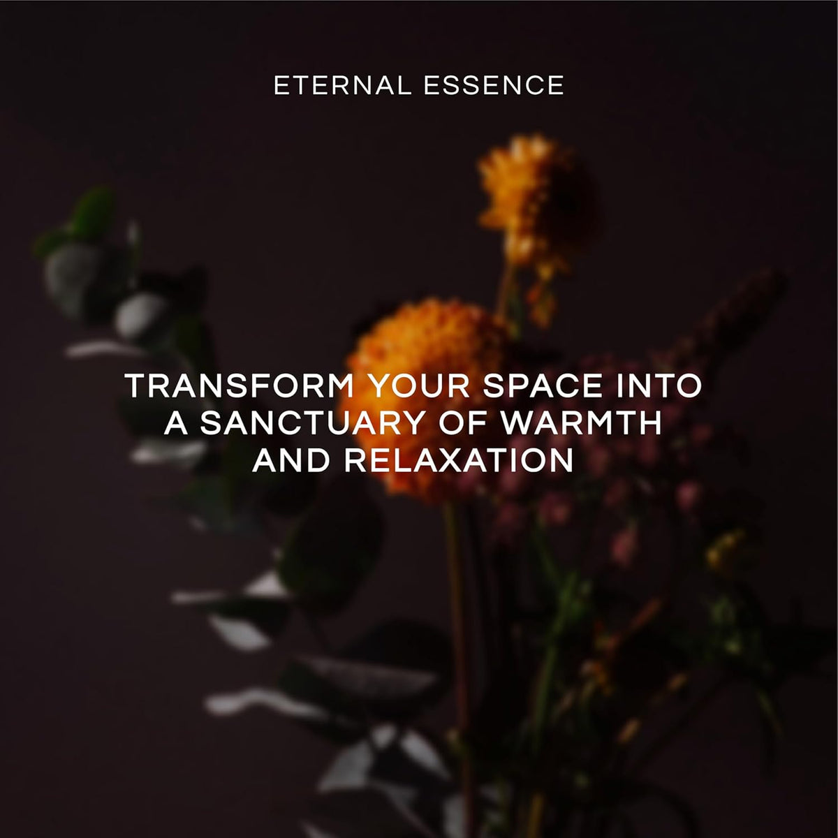 Eternal Essence Oils Freshly Baked Set of 6 Premium Fragrance Oils - Includes Blueberry Pancakes