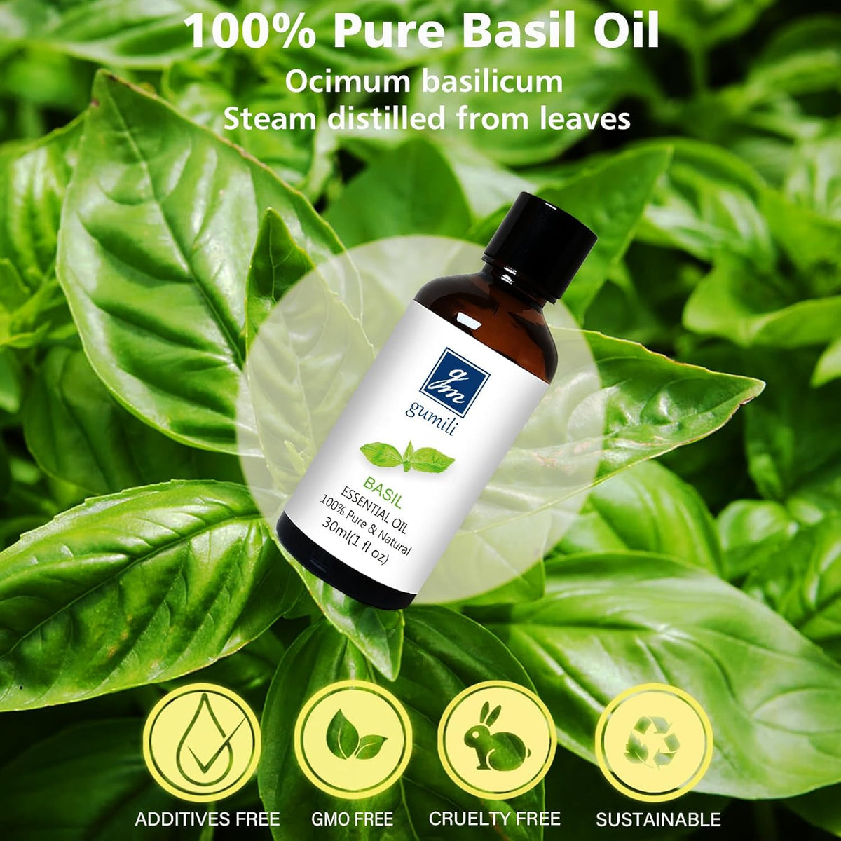 Basil Essential Oil 1 Oz – 100% Pure Natural Basil Oil for Diffuser, Skin, Massage & DIY, Fresh