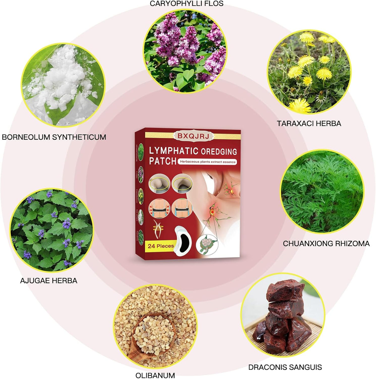 24Pcs/Box Herbal Lymph Nodes Patch,Lymphatic Drainage Patch/Patches,Herbal Lymphatic Drainage Care