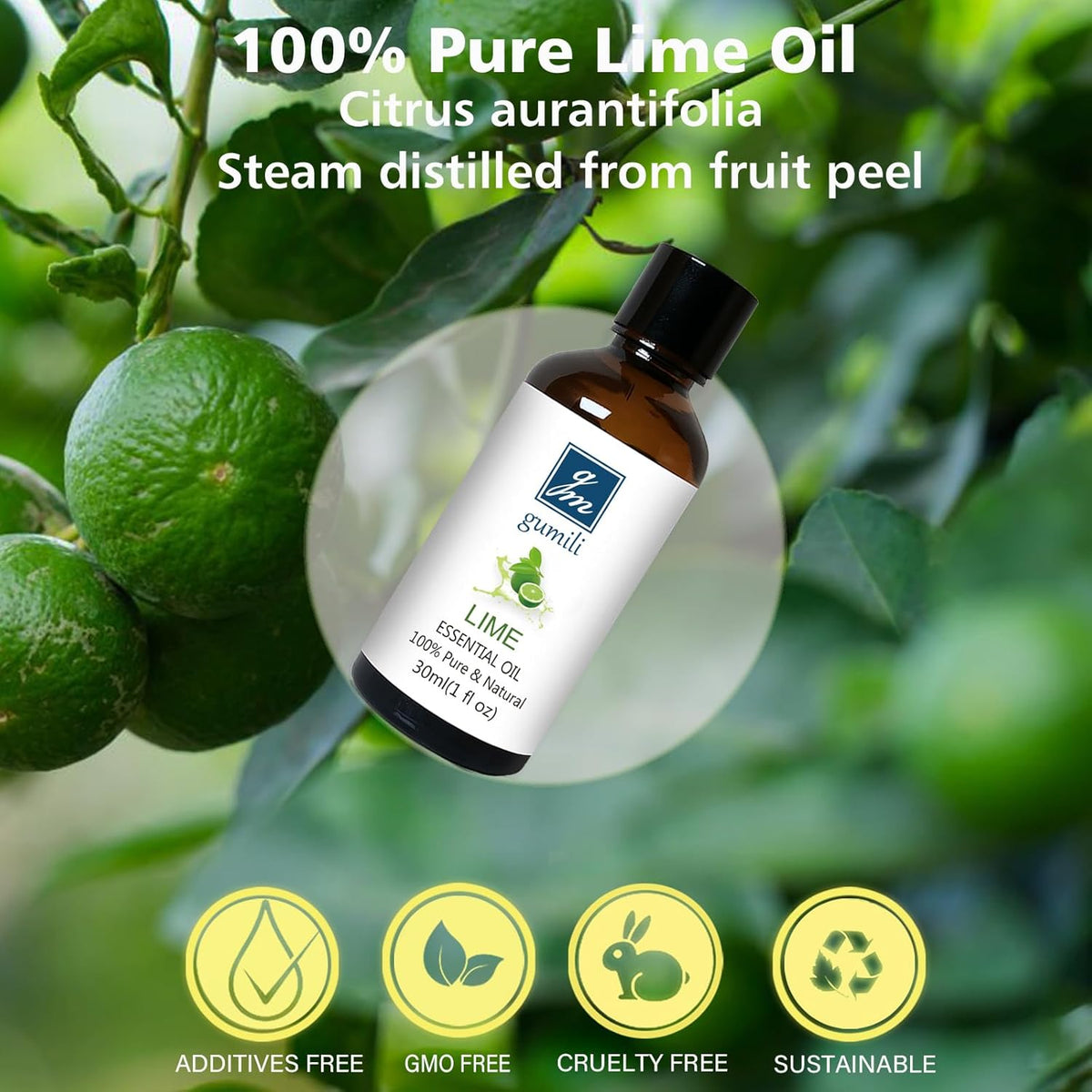 Lime Essential Oil 1 oz, 100% Pure & Undiluted Lime Oil for Diffuser, Skin & DIY, Natural Citrus