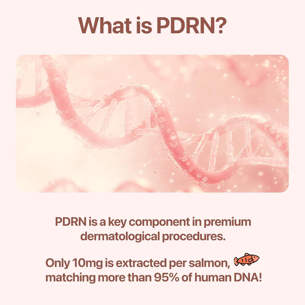 PDRN Cream with Salmon DNA, Ceramide NP, Collagen, Plant Based Bakuchiol, Moisturizing Bifida and