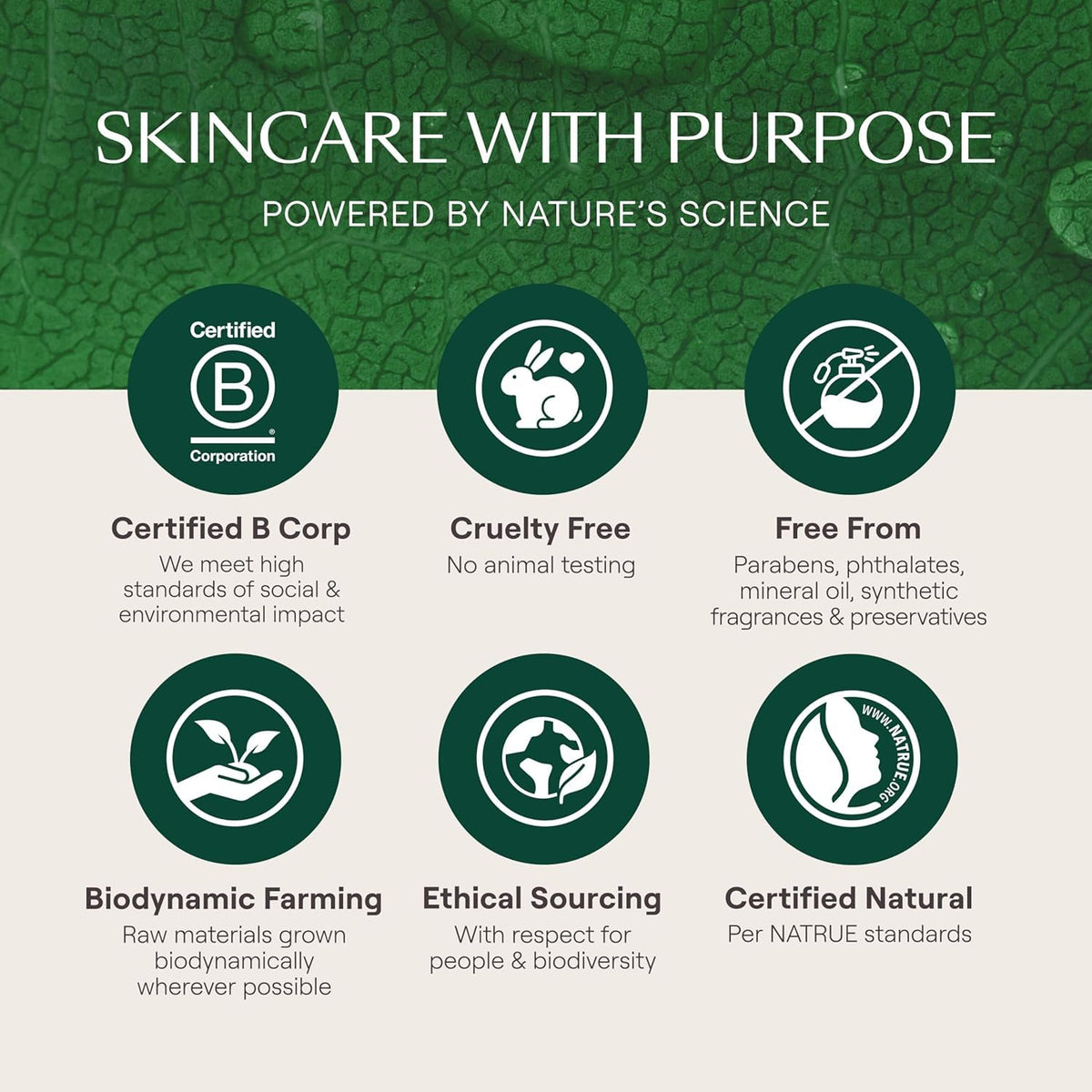 Weleda Skin Food Face Care Nourishing Day Cream, 1.3 Fluid Ounce, Plant Rich Moisturizer with Olive