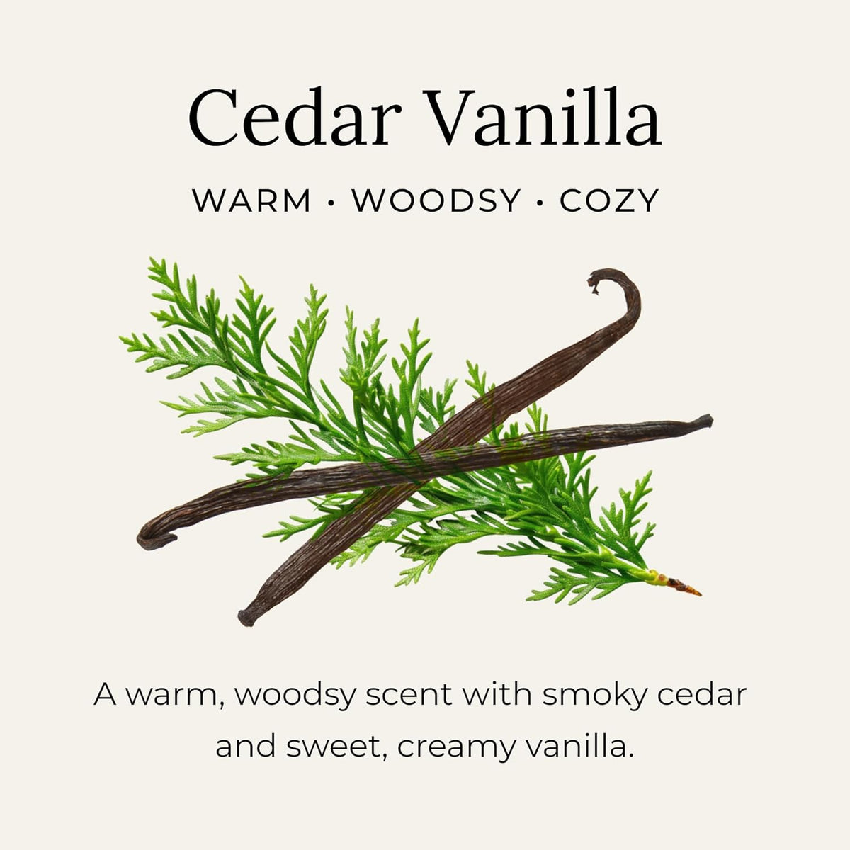 Little Seed Farm All Natural Deodorant Cream, Aluminum Free Activated Charcoal Deodorant for Women