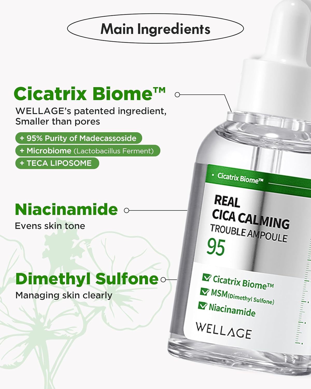 WELLAGE Real Cica Calming Trouble Ampoule - Korean Skincare Soothing Serum, Madecassoside Centella