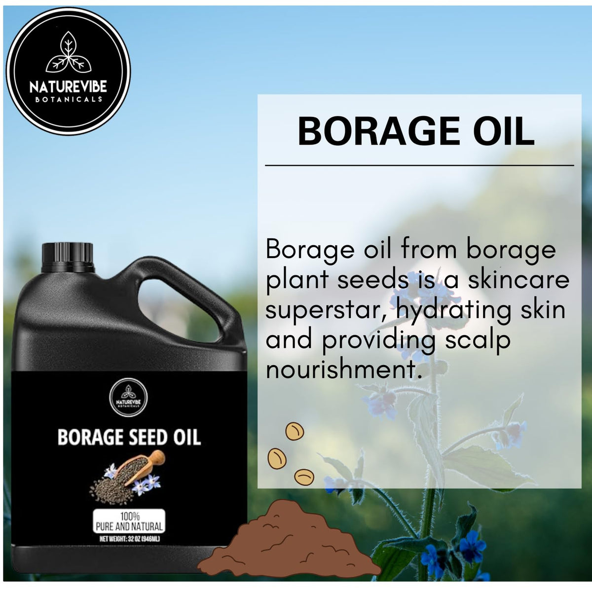 Naturevibe Botanicals Borage Oil 32 Ounces | 100% Pure and Natural | Great for Skin Care and Hair