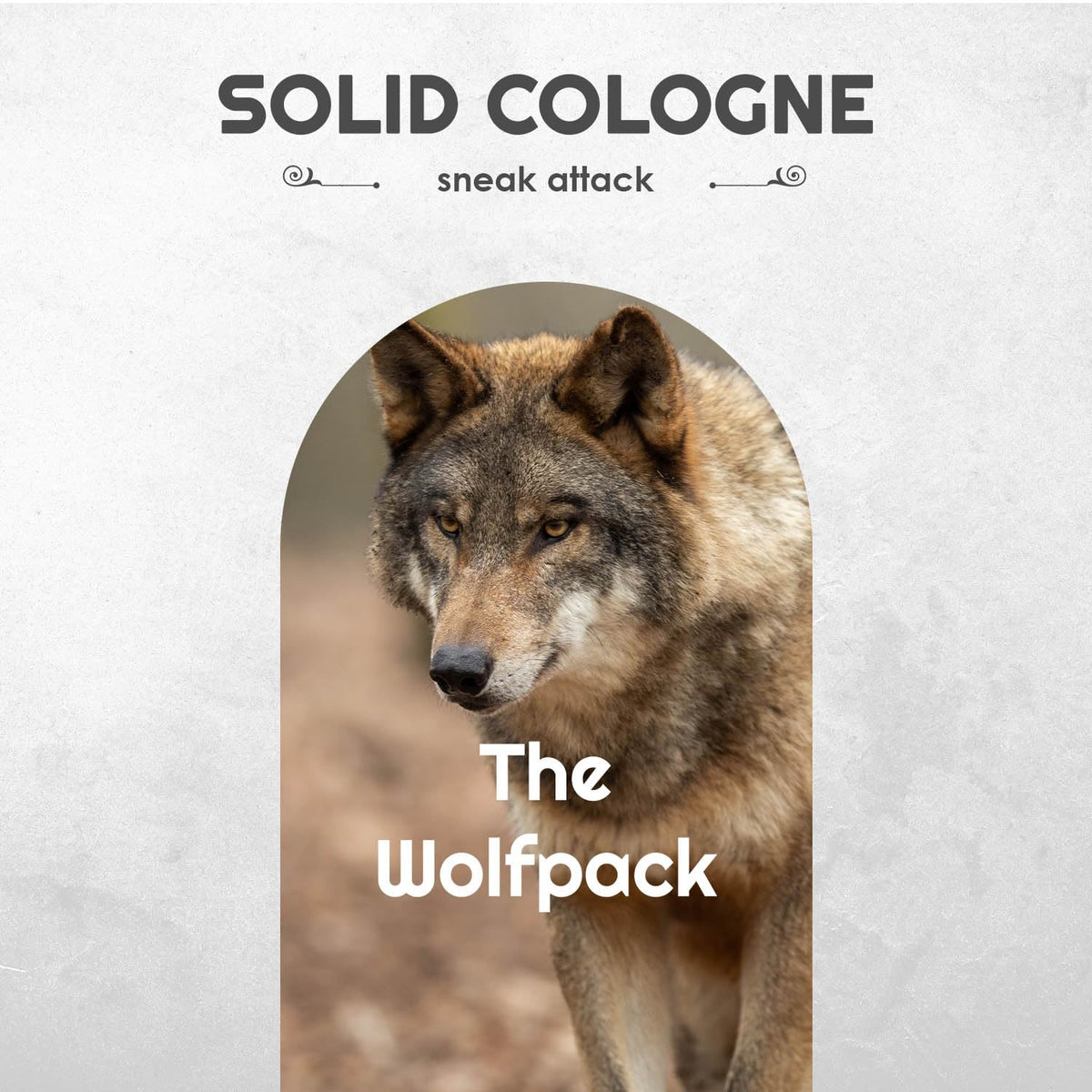 Solid Cologne Set with Bay Rum Solid Cologne, Bourbon Solid Cologne, Woodsman, and Life of the