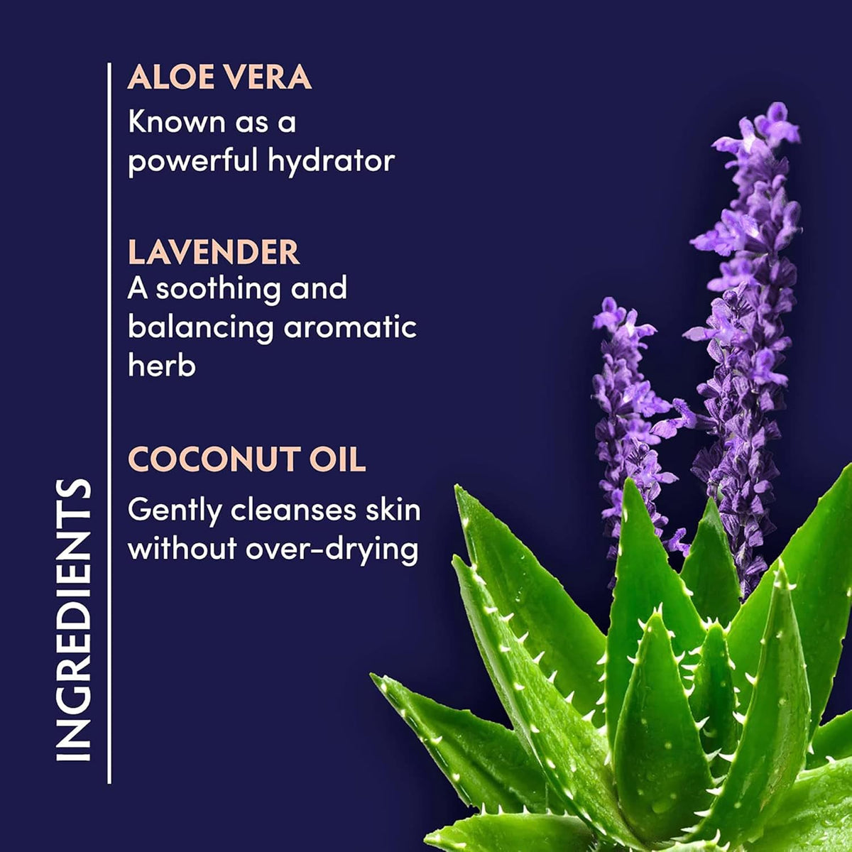 Naturopathica Aloe Vera Cleansing Gel, Facial Cleanser with Aloe Vera and Lavender, Clarifying Face