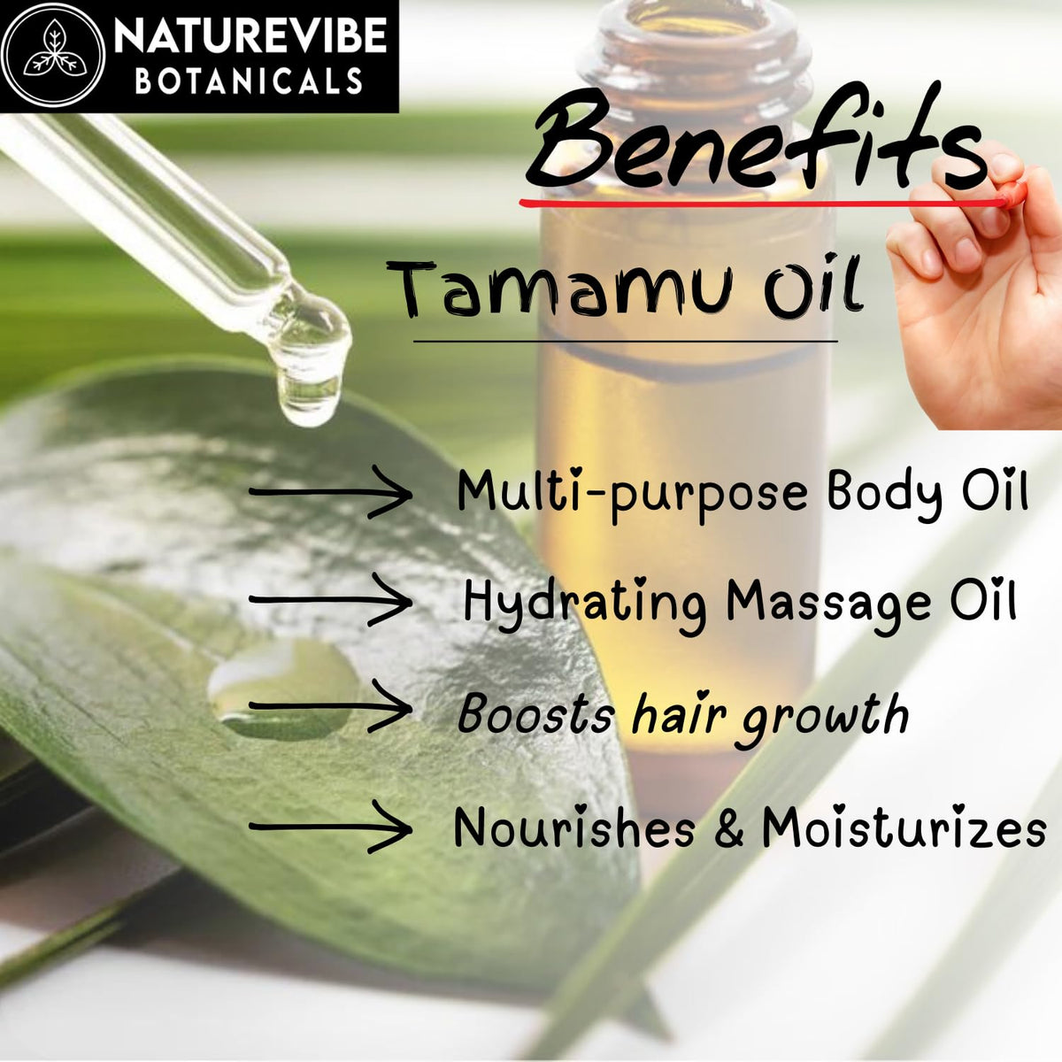 Naturevibe Botanicals Tamanu Oil 32 Ounces | 100% Pure and Natural | Great for Skin Care and Hair