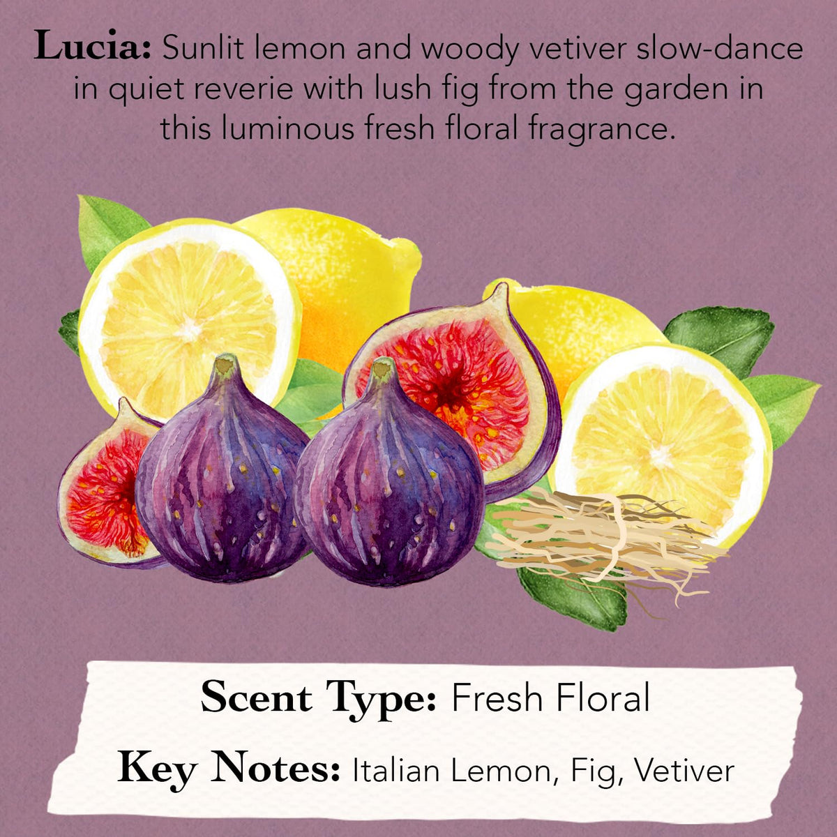 Tocca Mini Perfume Set of 3 ($45 Value) - 5ml (0.16 Fl Oz) Each, Spring Garden Collection