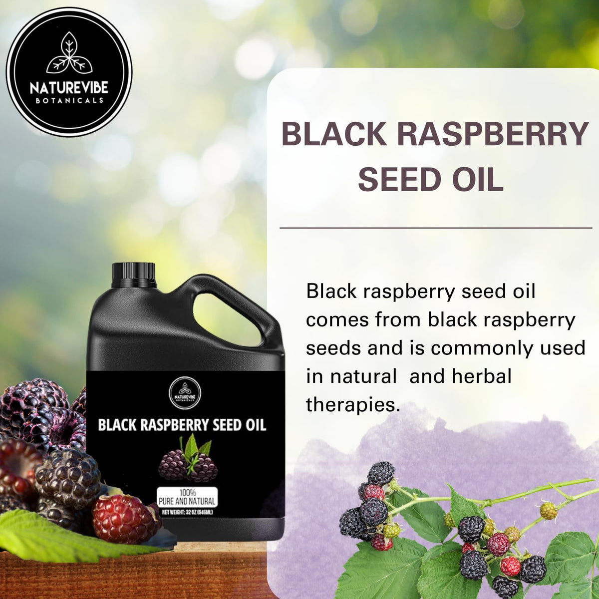 Naturevibe Botanicals Black Raspberry Oil 32 Ounces | 100% Pure and Natural | Great for Skin Care