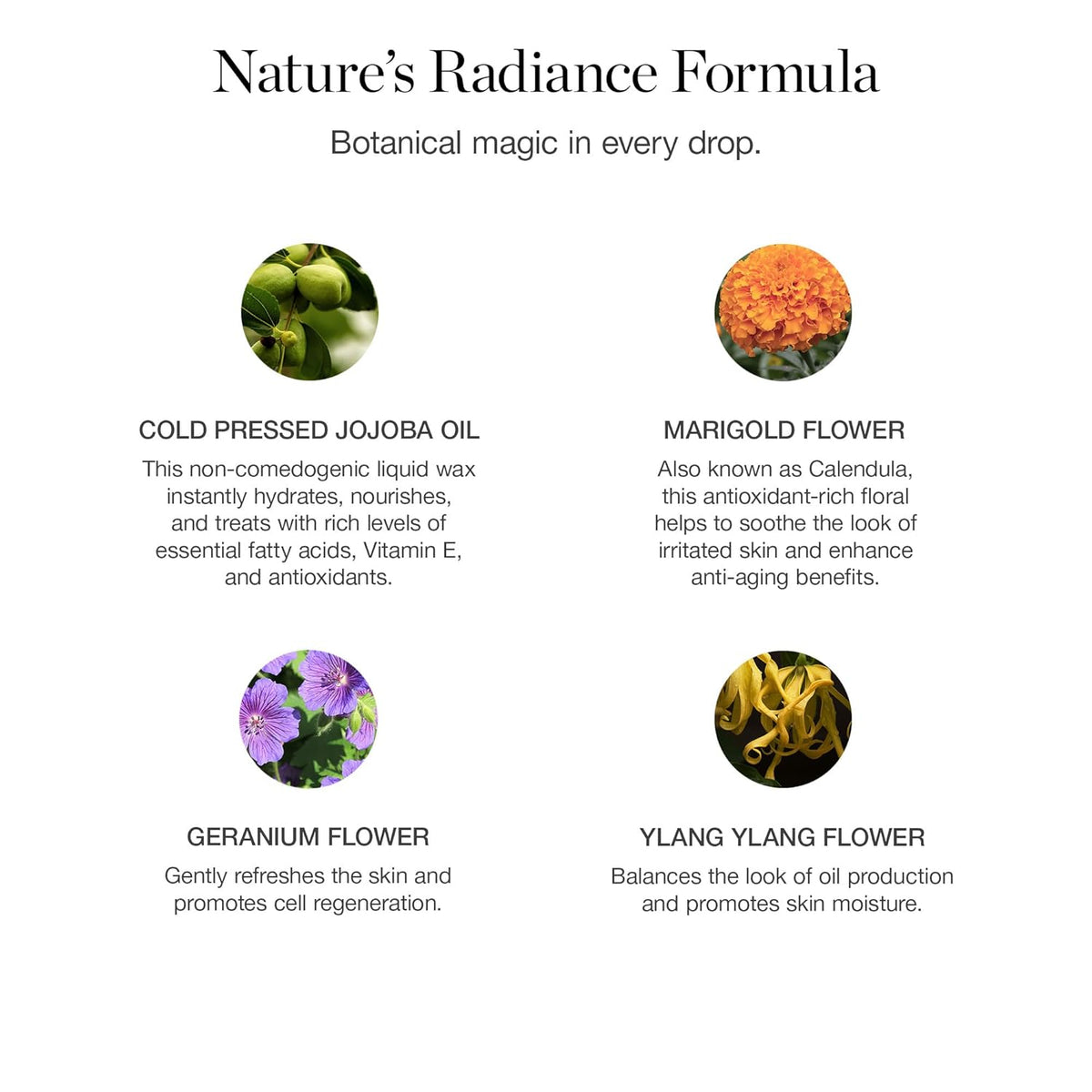 Ogee Jojoba Glow Face Oil – Organic & Natural, Moisturizing, Multi-Tasking Facial Treatment Oil