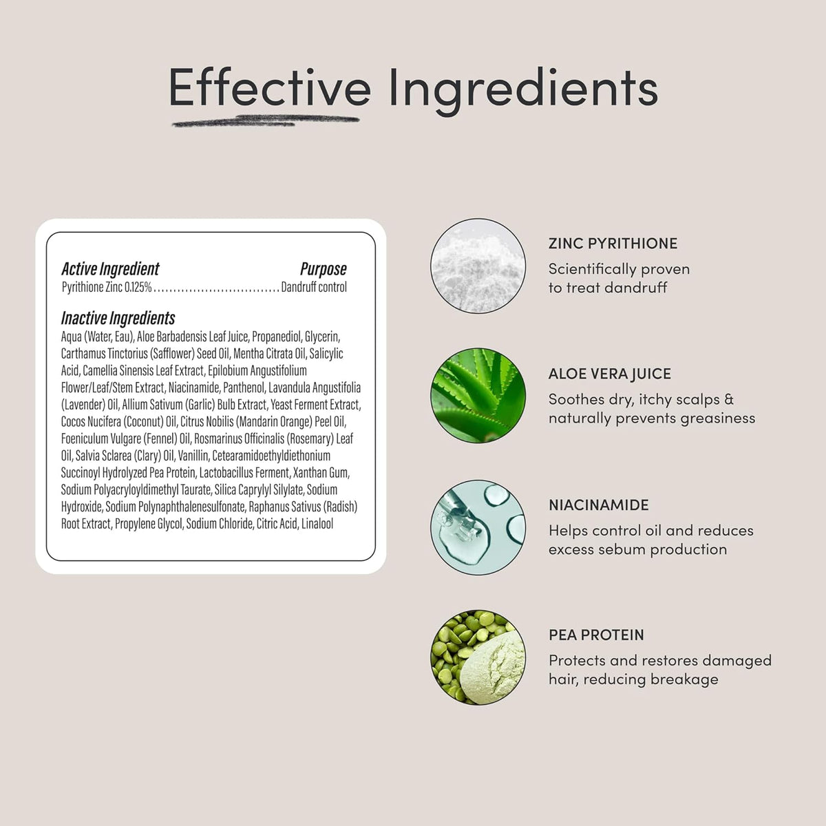 Jupiter Balancing Shampoo and Restoring Serum - Anti Dandruff Shampoo & Serum for Flaky, Itchy